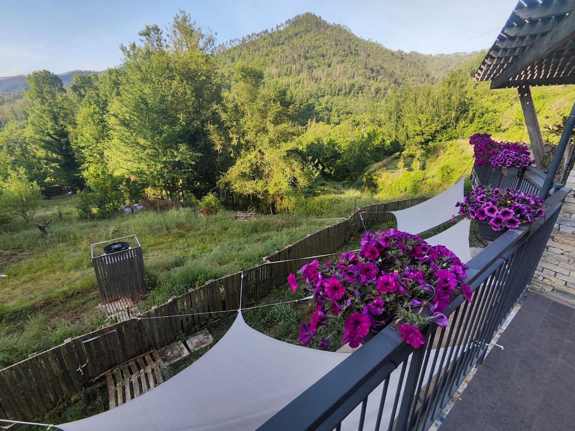 Agriturismo Terre Di Ginepro 博尔盖托迪瓦拉 外观 照片
