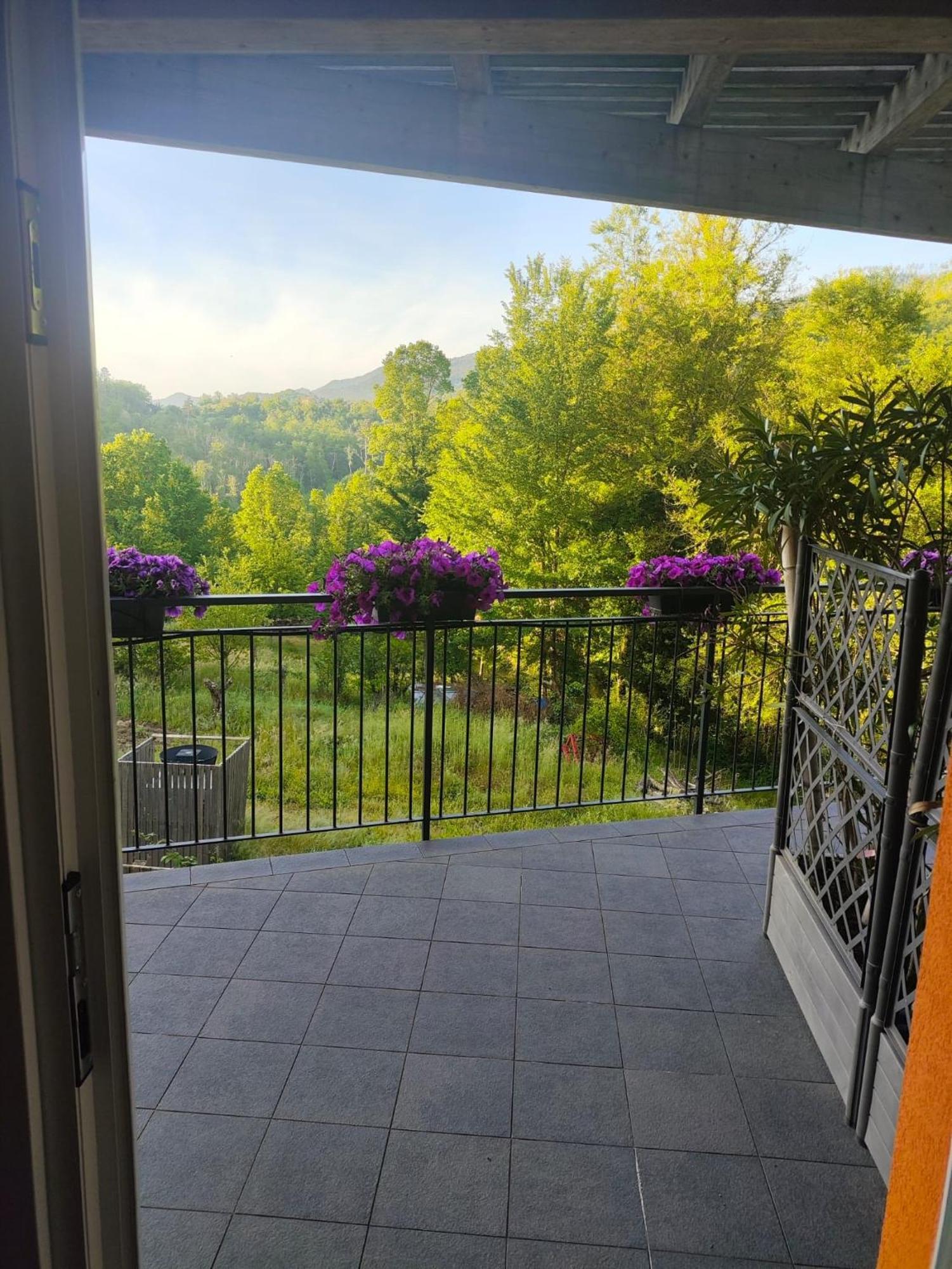 Agriturismo Terre Di Ginepro 博尔盖托迪瓦拉 外观 照片